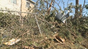Fence Repairs in an emergency