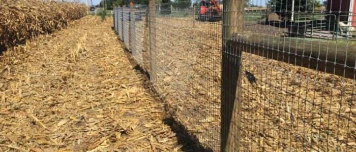 Dark Wood Horse Fencing